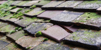 Crackington Haven roof repair costs
